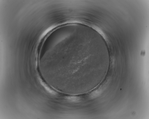 X0000092021127200709061548