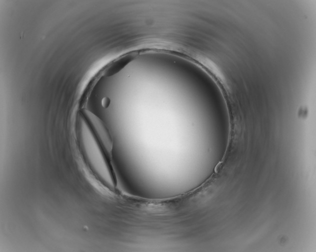 X0000092021128200709061548