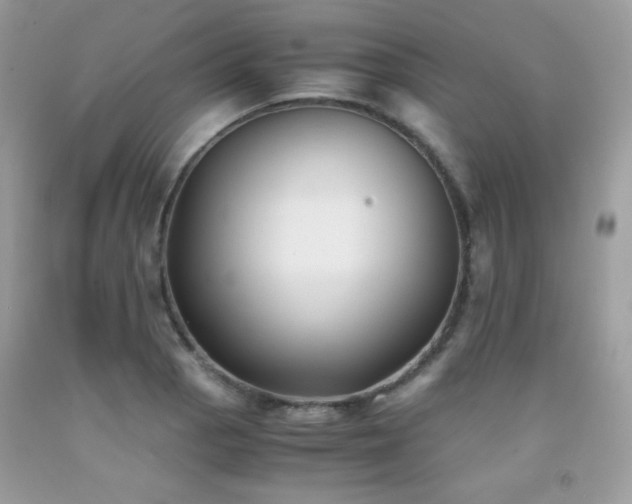 X0000092021129200709061548