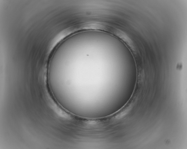 X0000092021130200709061548