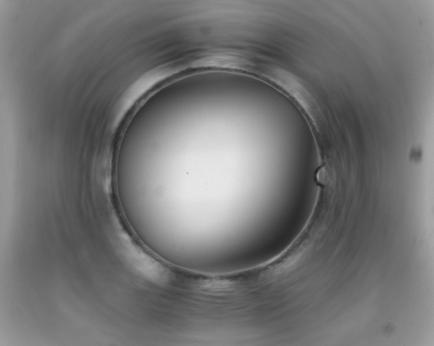 X0000092021131200709061548