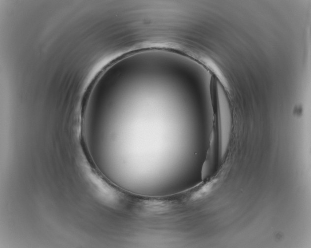 X0000092021132200709061548