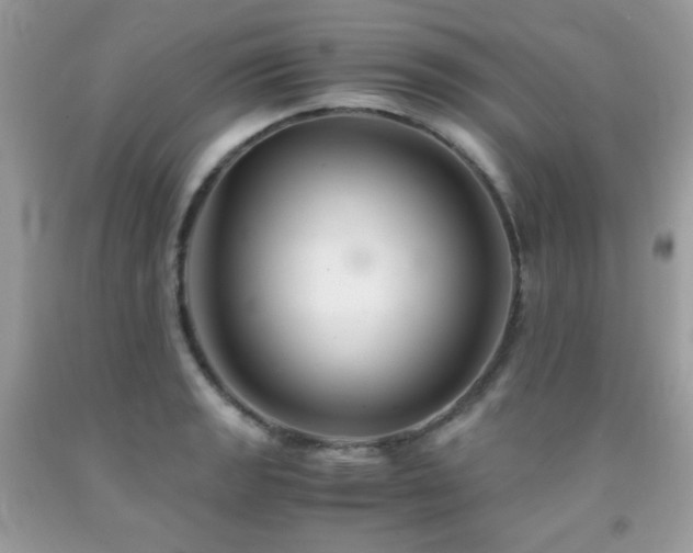X0000092021133200709061548