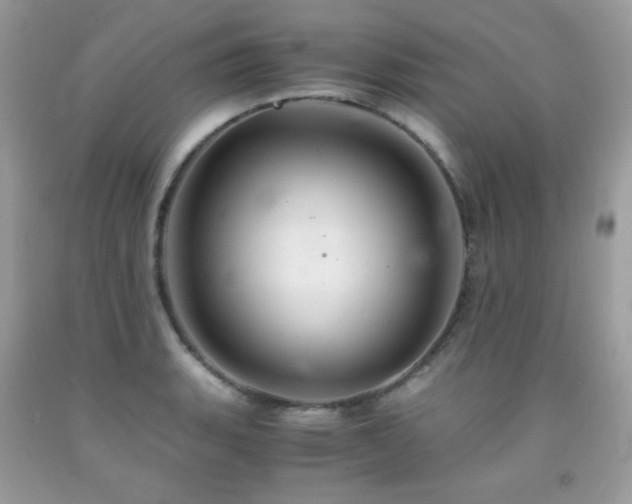 X0000092021135200709061548