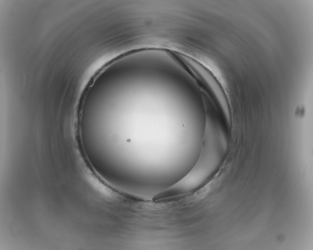 X0000092021136200709061548