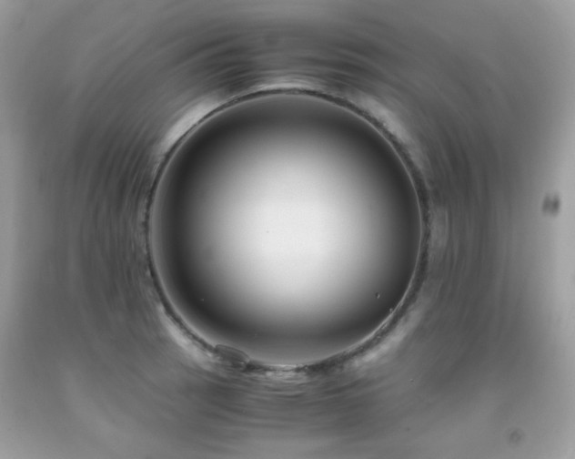 X0000092021137200709061548