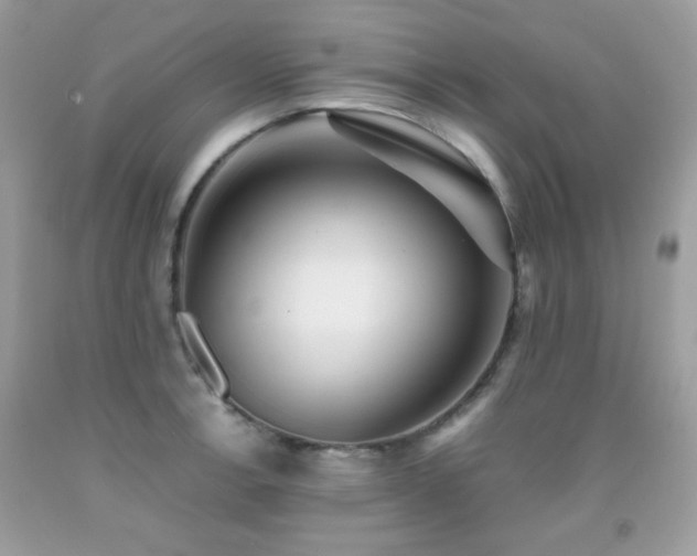 X0000092021138200709061548