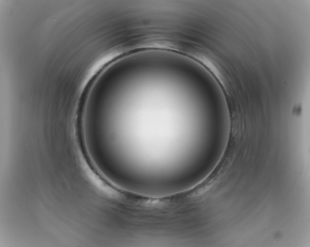 X0000092021139200709061548