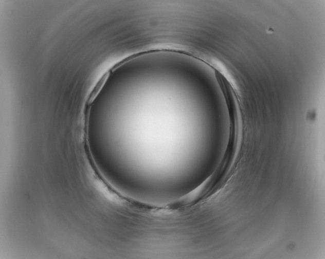 X0000092021140200709061548