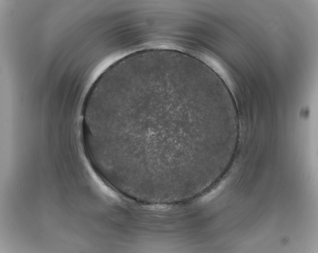 X0000092021141200709061548