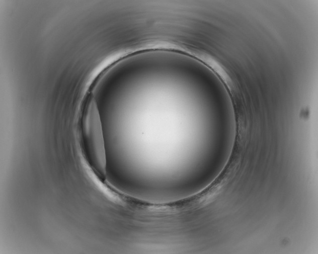 X0000092021142200709061548