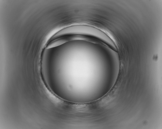 X0000092021143200709061548