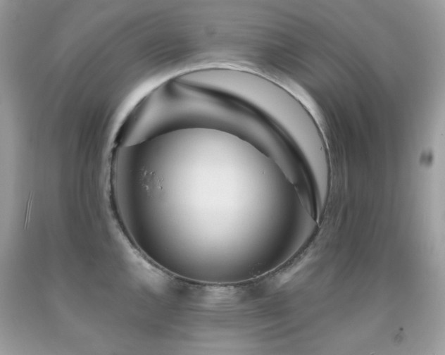 X0000092021144200709061548