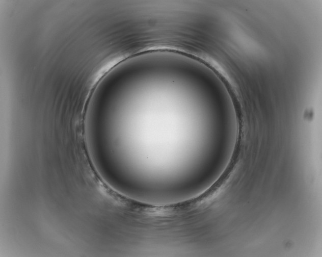X0000092021145200709061548