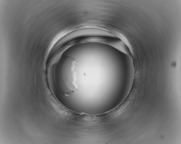X0000092021146200709061548