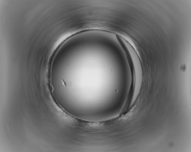 X0000092021147200709061548