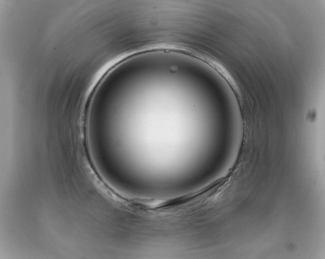 X0000092021148200709061548