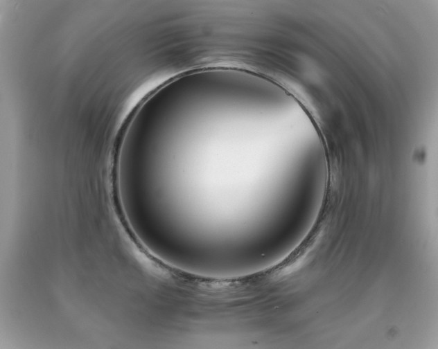 X0000092021149200709061548