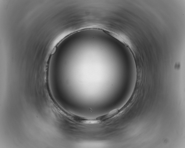 X0000092021151200709061548