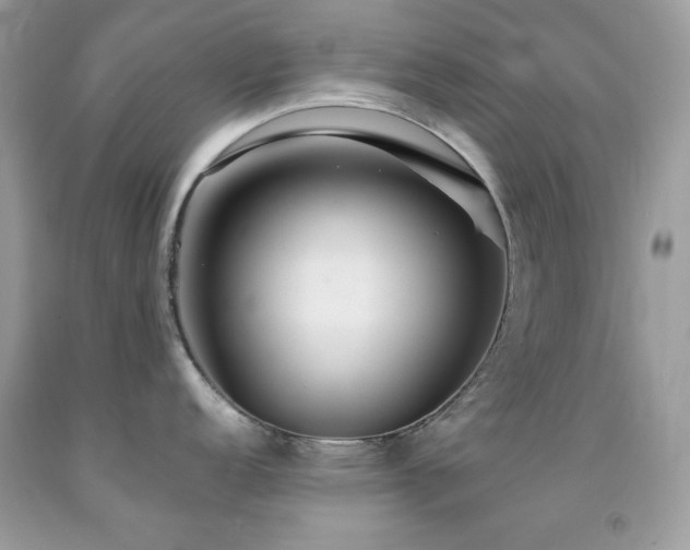 X0000092021152200709061548