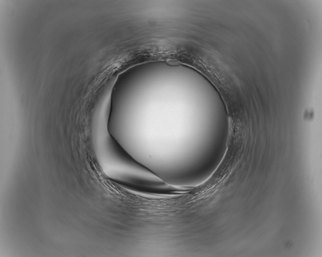 X0000092021153200709061547