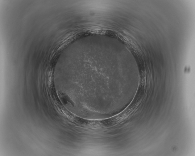 X0000092021154200709061547