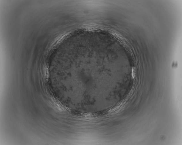 X0000092021155200709061547