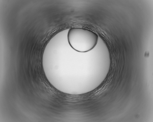 X0000092021156200709061547