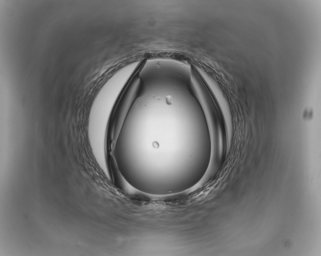 X0000092021157200709061547