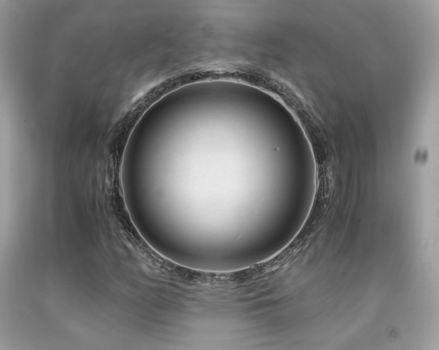 X0000092021158200709061547