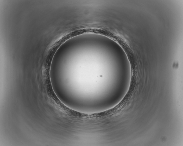 X0000092021159200709061547