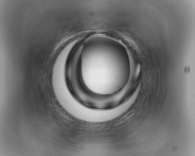 X0000092021160200709061547