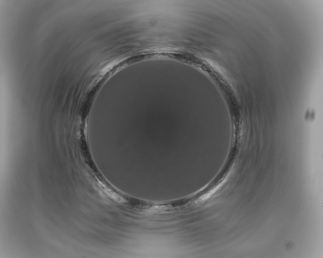 X0000092021161200709061547