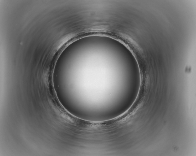 X0000092021162200709061547