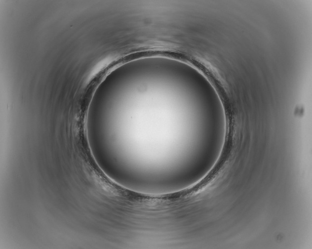 X0000092021163200709061547