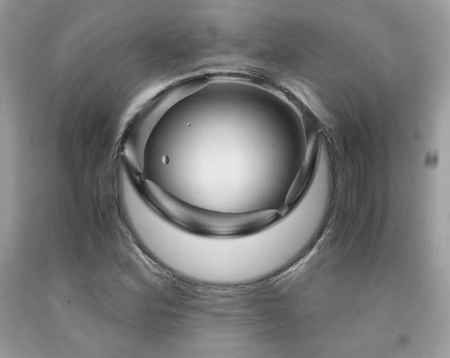 X0000092021164200709061547