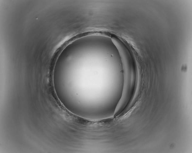 X0000092021165200709061547