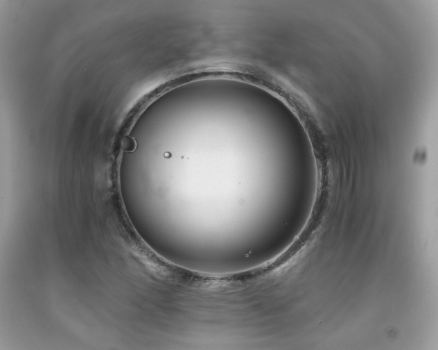 X0000092021166200709061547