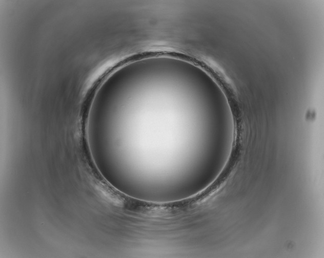 X0000092021167200709061547