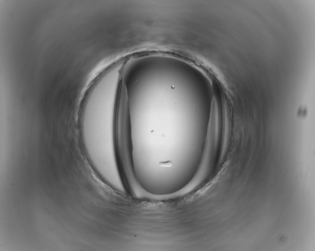 X0000092021168200709061547