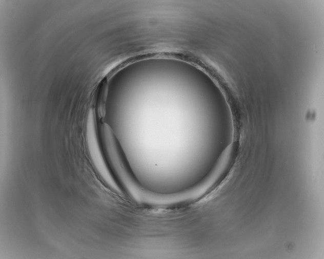 X0000092021169200709061547