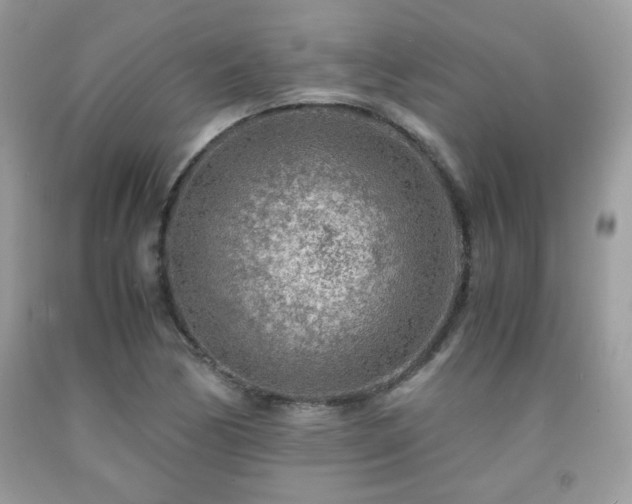 X0000092021170200709061547
