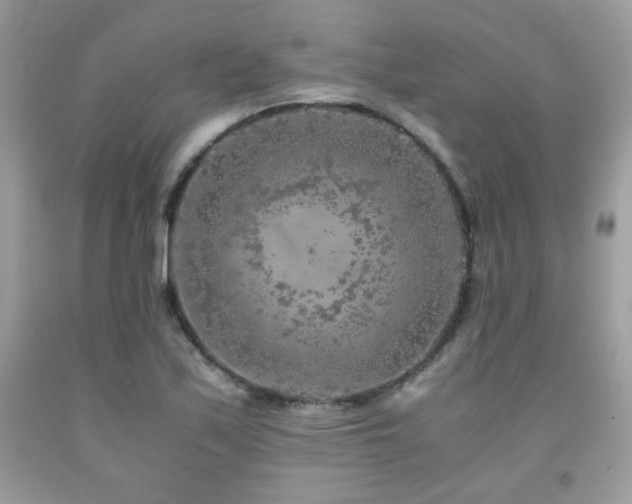 X0000092021171200709061547