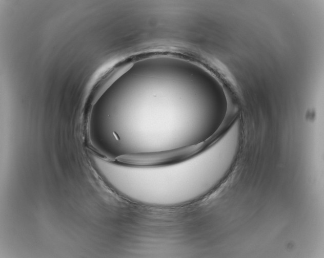 X0000092021172200709061547