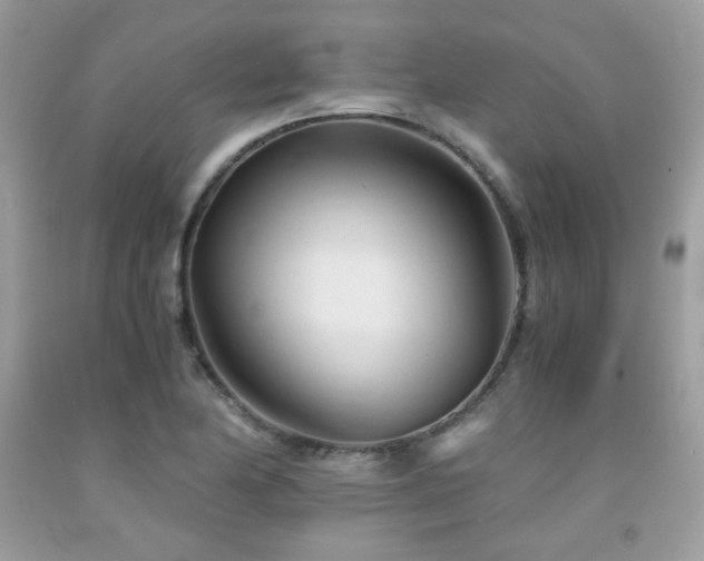 X0000092021174200709061547