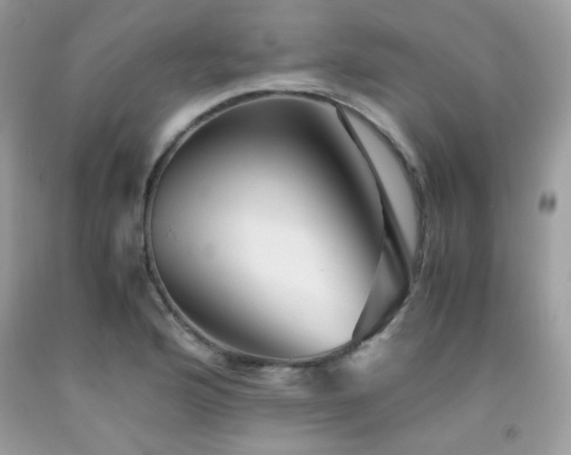X0000092021176200709061547