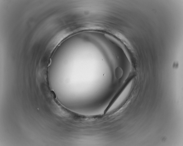 X0000092021177200709061547