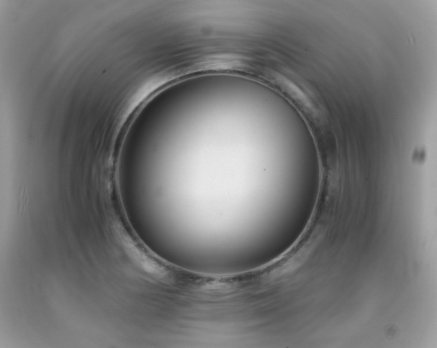 X0000092021178200709061547