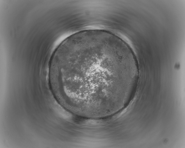 X0000092021179200709061547
