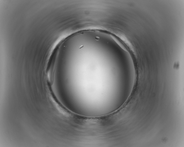 X0000092021181200709061547